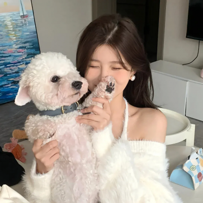 简·奥斯汀毁了我的生活